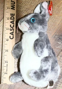 Ty Beanie Baby ~ HOPPER der Osterhase Kaninchen ~ 8 Zoll ~ Plüsch ~ 2000 ~ Neu mit Etikett - Bild 1 von 4