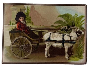 VICTORIAN PICTURE CARD – GIRL IN GOAT CART – LION COFFEE/WOOLSON SPICE CO. - Picture 1 of 3
