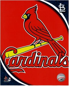 Foto de béisbol 8x10 con logotipo de los Cardenales de San Luis con licencia - Imagen 1 de 1