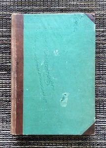 RARE VINTAGE 1919 Von Alltag und Sonne Gedichte in Prosa: Life Poems, Flaischlen - Picture 1 of 9