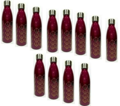 Botellas de agua a granel de 12 piezas de doble pared de acero inoxidable al vacío esenciales para habitación Foto 1 de 4