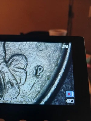 1990 P over S mint mark error Quarter - Image 1 of 4