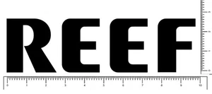 Calcomanía adhesiva de vinilo para nieve y patín de surf de 10" o 6" para equipo de sandalias de arrecife - Imagen 1 de 13