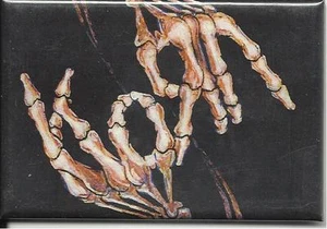 KORN skeleton hands 2005 FRIDGE MAGNET official merchandise IMPORT - Picture 1 of 1