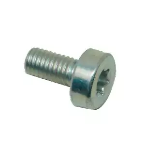 Echo V805000130 Bolt TORX 5X10 - Picture 1 of 1