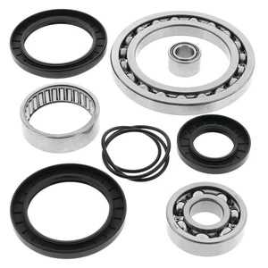 2008-2009 Yamaha 450 Rhino ATV Rear Differential Bearing and Seal Kit - Picture 1 of 2