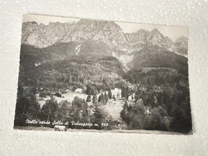 SELLA DI VALSUGANA m.900 VECCHIA CARTOLINA OLD POSTCARD PAESE MONTAGNE - Imagen 1 de 2