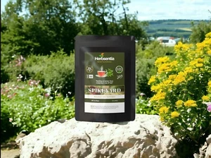 Spikenard Tea - Relaxation Support (Premium) - Picture 1 of 4