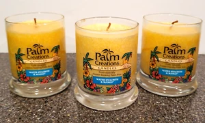 3 Scented Jar Candles Water Hyacinth & Mango Aromatherapy Spa Relaxation 9oz - Picture 1 of 6