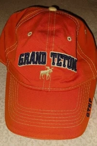 Grand Teton National Park Orange Ball Cap Buckle style fastener OSFM - Picture 1 of 5