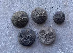 Lote de 5 botones de uniforme de águila excavados en Fort Thomas Arizona - ¡Guerras apaches!! - Imagen 1 de 2
