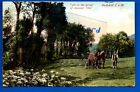 1910 Postcard Horses Godshill Isle Of Wight Social History Farming Working Life