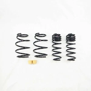 Resortes RS-R Super Down para Toyota Corolla 2018 hatchback - Imagen 1 de 1