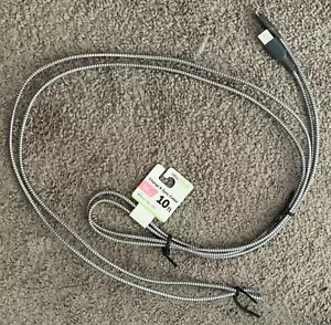 Cell Candy - USB-A To Lighting Fast Charge Sync Cable - Silver - 10 Feet - Picture 1 of 2
