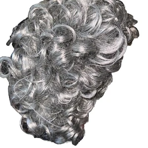 Wig Curly Gray Short Hair Granny Madea Salt & Pepper Grandma Grandpa Halloween - Picture 1 of 10