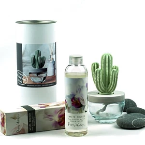 Pretty Valley Home Cactus Ceramic Diffuser Combo (White Orchid) Scent 200ml - Picture 1 of 4