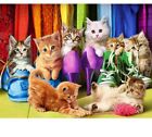 Cats Animal Pet Diamond Painting Cute Portrait House Embroidery Designs Displays