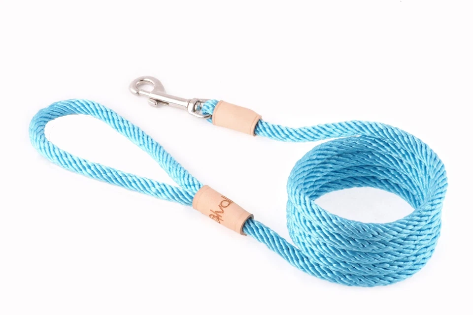 Sport Snap Lead for Dogs Braided Rope Leash 5/16 inch x 6ft Pet Training - Image 1 of 1