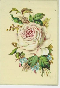 Tarjeta comercial grande original de rosa blanca MARLENA de 1880, medicina curandera - Imagen 1 de 2