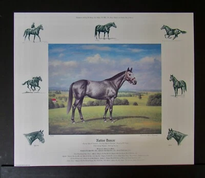 Richard Stone Reeves - Native Dancer - Horse Racing Print - MINT - Unframed - Image 1 of 4