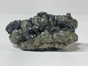 Galena On Pyrite - Miniera di Fletcher, Reynolds Co., Missouri - Foto 1 di 7