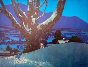 The Path Home, by Maxfield Parrish - Picture 1 of 1