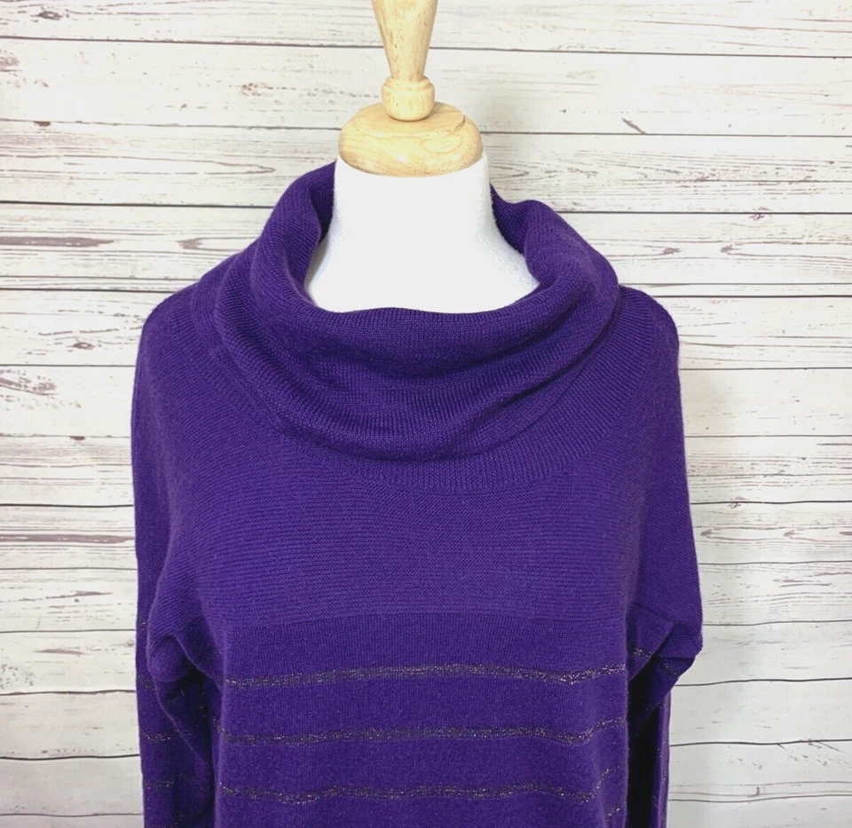 Coldwater Creek 紫色长袖圆领美利奴混纺条纹毛衣 L 码 — 第 1/4 张图片