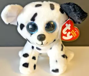 Ty Beanie Baby - CATCHER the Dalmatian Dog (6 Inch) NEW w/ Tags - Picture 1 of 7