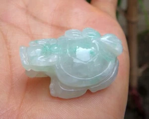 Certified Grade A Natural Green Jade jadeite Longevity Dragon Turtle Pendant 51 - Picture 1 of 8