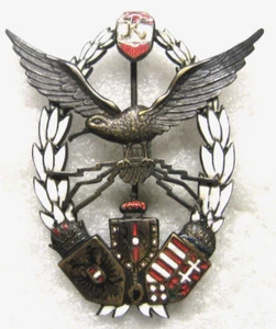 Austria Hungary, Imperial Air Force Pilot Badge,ww1 - Picture 1 of 6
