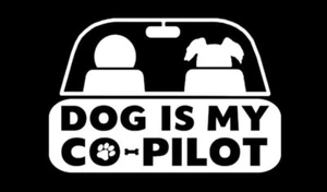 Dog Is My Co-Pilot White Vinyl Decal Sticker - Bild 1 von 1