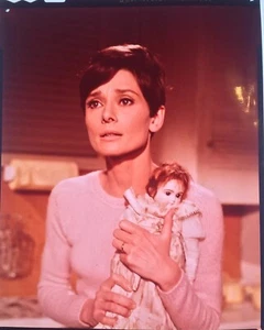 AUDREY HEPBURN in Wait Until Dark 5 x 4” Colour Transparencies x3 - Picture 1 of 4