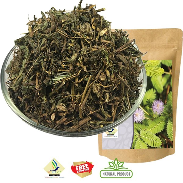 1750 g Ãthiopien Wild Grown Kafa Forest Kaffee [n716 xr] Photo Related