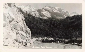 VTG Photo Nature Mountains Snow Trees Forest Stevens Pass Highway Washington - Picture 1 of 1