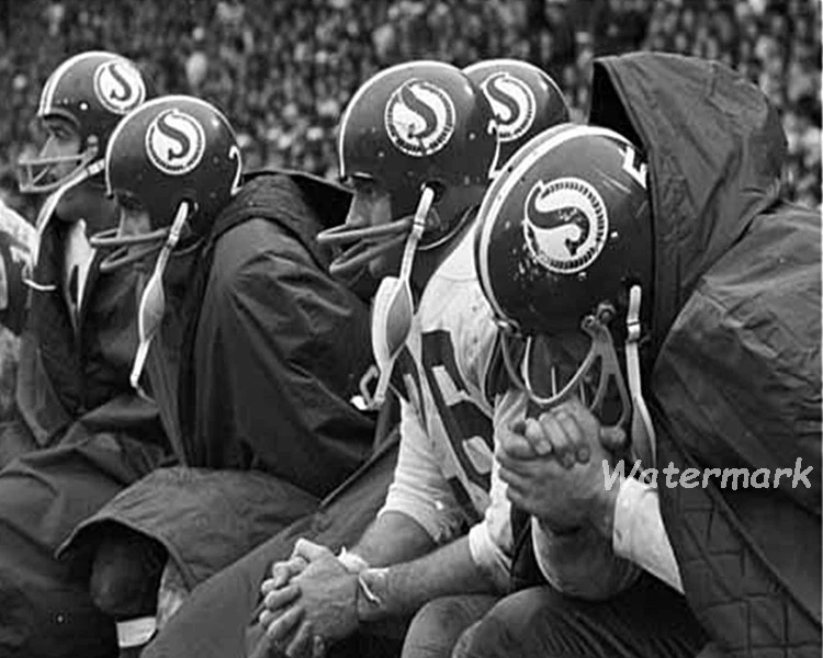 CFL 1960 Saskatchewan Roughriders en el banco blanco y negro 8 X 10 foto foto foto Foto 1 de 1