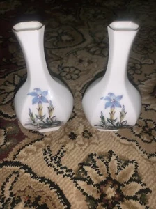 (2) Set Vintage Royal Worcester Small Daffodil/Iris Design Bud Vase 4.5” - Picture 1 of 5