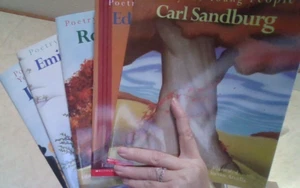 5 Bücher "Gedichte für Jugendliche" NEU - Bild 1 von 6