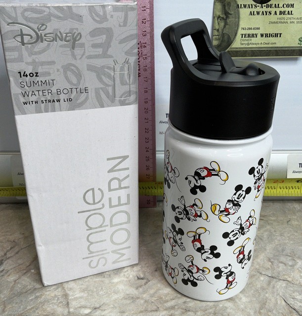 Simple Modern Kids Disney Water Bottle 2-Pack 16-oz Minnie Mouse