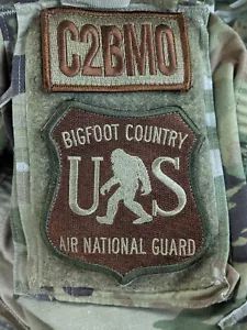 BIGFOOT Air Force Unità Guardia Nazionale Patch Morale Esercito Militare Patriot NORAD - Foto 1 di 2