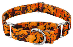 Country Brook Petz® Orange Sunset Camo Martingale Dog Collar