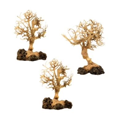 3-Pack Bonsai Driftwood Aquarium Trees on Rock (5" Height) - Handcrafted Natural - Image 1 of 3