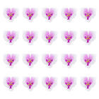 Zrób to sam Dekoracja Ślubna - 20szt Sztuczne Kwiaty Orchidei Zestaw