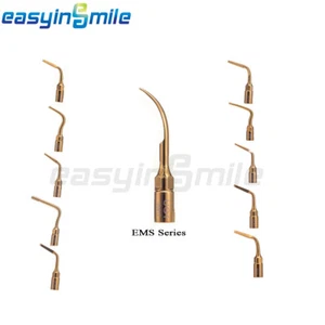 Easyinsmile 1Pc Dental Bone Surgery Implant Sinus Lifting Tip WOODPEKCER/MECTRON - Picture 1 of 18