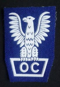 COMMUNIST POLAND CIVIL DEFENCE SERVICE BERET BADGE " OBRONA CYWILNA" - Picture 1 of 1