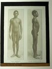 Antique Medical GLASS SLIDE - Nude Black Negro Male Afro Aborigine Native 