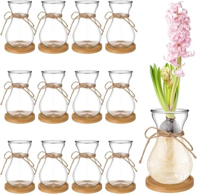 Jarrones de vidrio con bulbo para flores forzando jacinto florero con bulbo decorativo transparente Foto 1 de 4