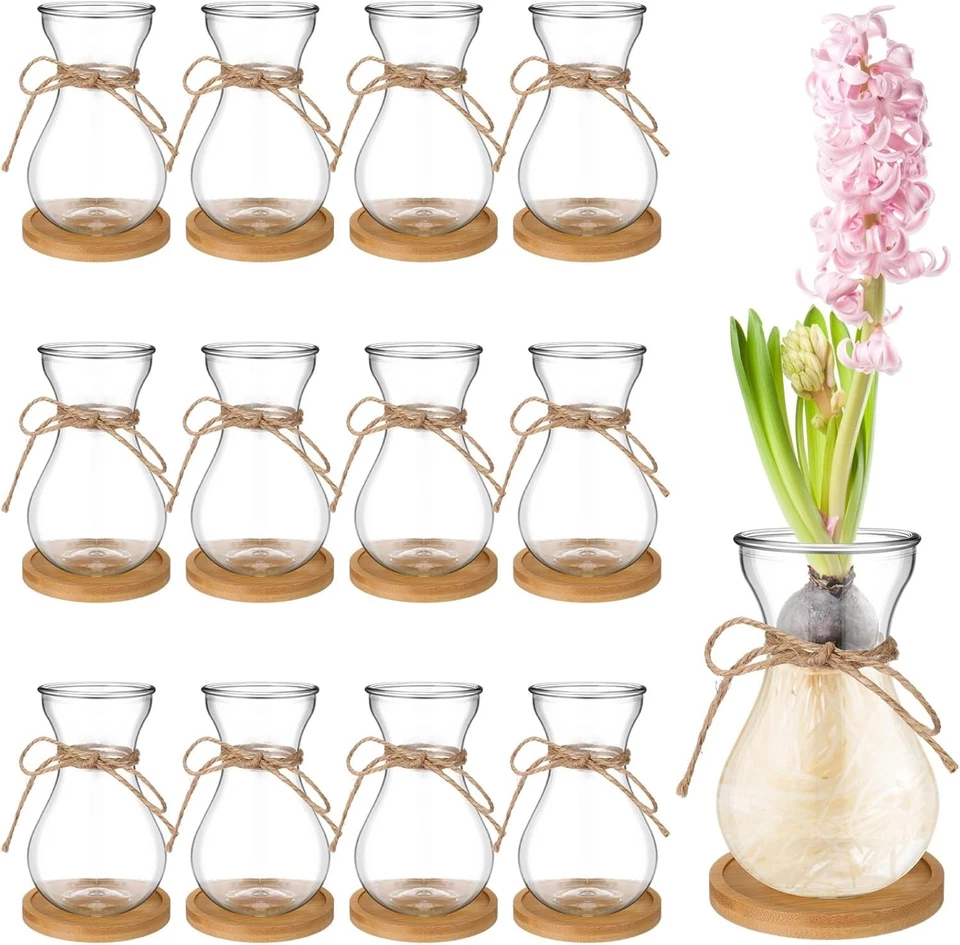 Bulb Glass Vases for Flowers Forcing Hyacinth Clear Decorative Bulb Vase - Image 1 of 4