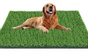 Artificial Grass, Dog Grass Mat, Replacement for Artificial Grass 51in X 31.5in