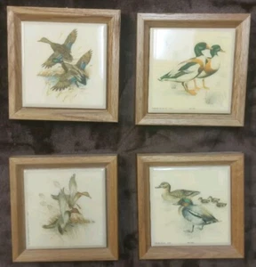 4 Vtg Framed Prints Litho Arthur A Kaplan Ducks 1981 Unlimited 5.5"×5.5" Nature  - Picture 1 of 12