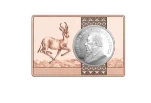 30 GRAMM SILBERMÜNZE "Springbock" IM 3 OZ KUPFER im BARREN / 2024 - Bild 1 von 2